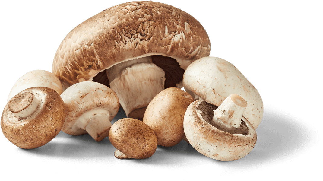 A variety of mushrooms including white button, crimini and portabella