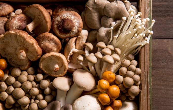 Mushroom Varieties