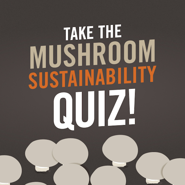 Take the Mushroom Sustainability Quiz!