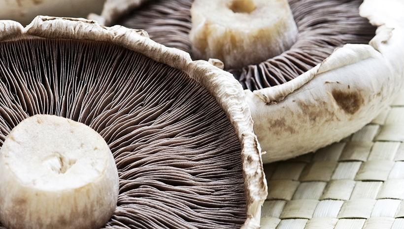 mushroom nutrition health benefits calories vitamins and facts