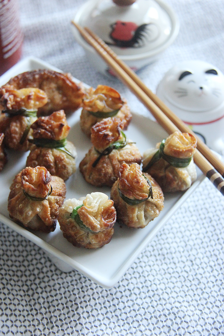 Crispy Golden Dumplings