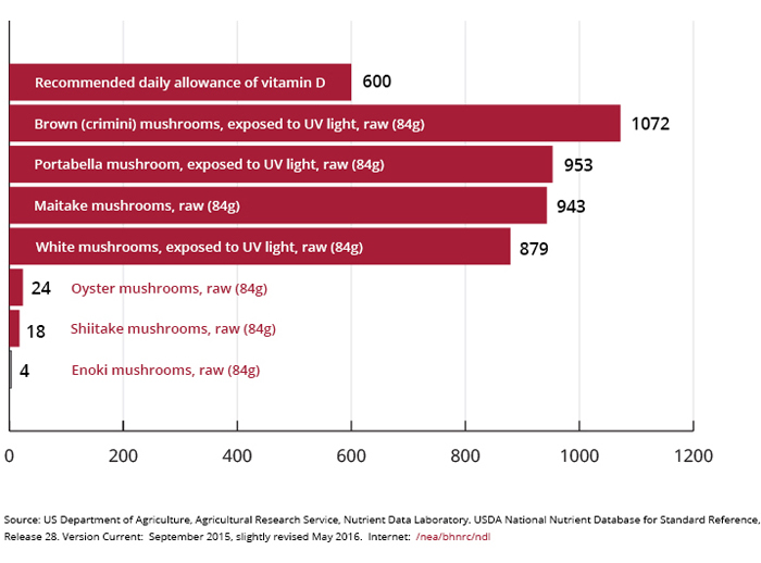 Mushrooms Are The Only Source Of Vitamin D In The Produce Aisle