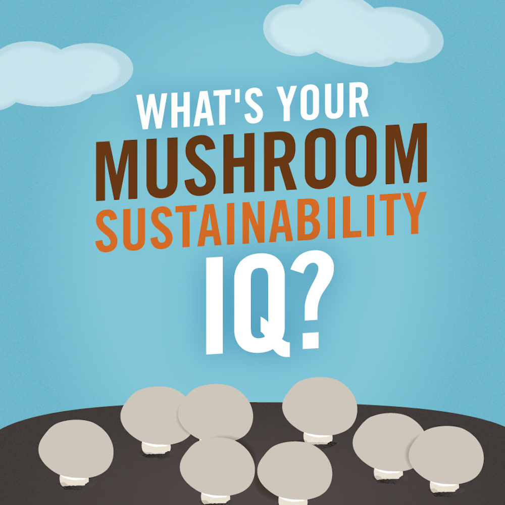 What's Your Mushroom Sustainability IQ?