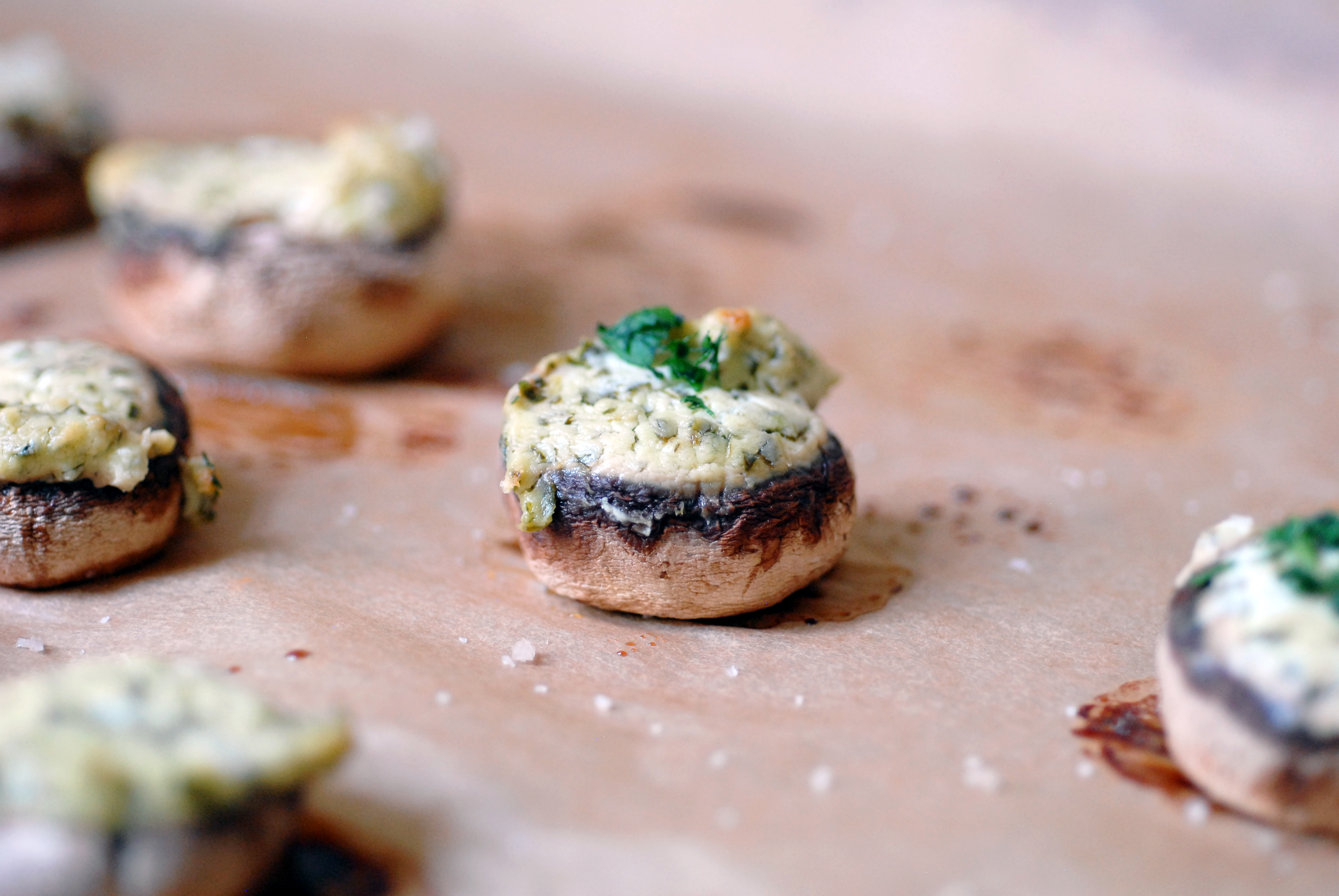 The Mushroom Masters App Attack With Elana S Pantry Mushroom Council