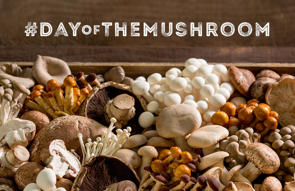 Mushroom Day!