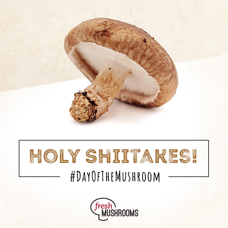 Happy National Day Of The Mushroom! 633