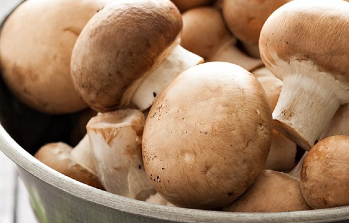 Looking for Functional Mushrooms? Try the Ones in the Produce Aisle.