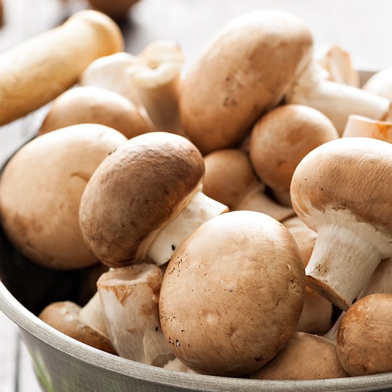 Fresh mushrooms