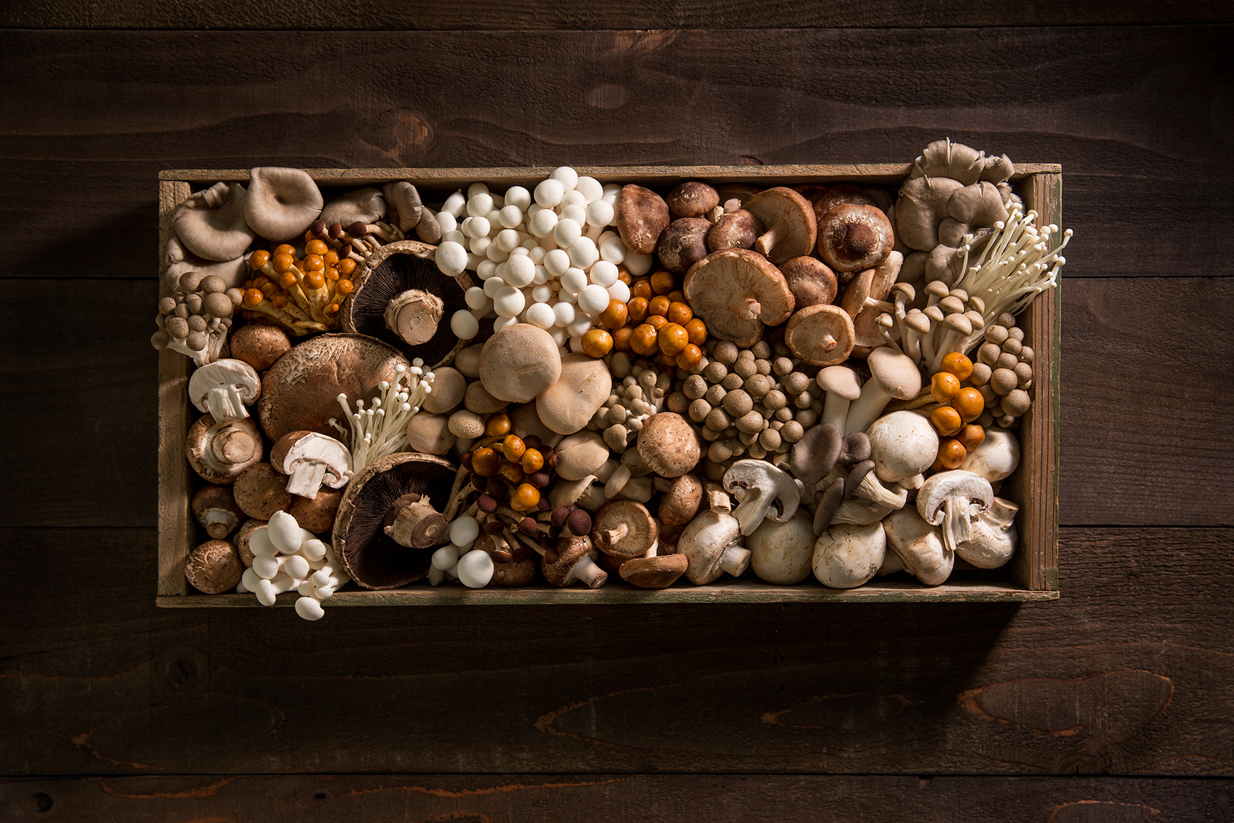 National Mushroom Day Archives Mushroom Council