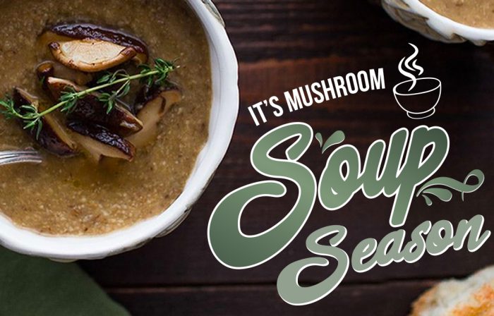 Mushroom Soup