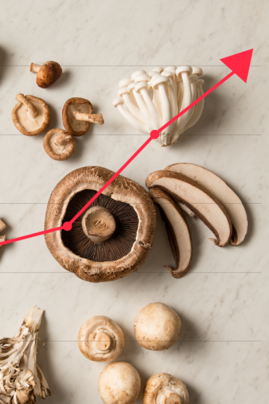 Mushrooms Trending Up