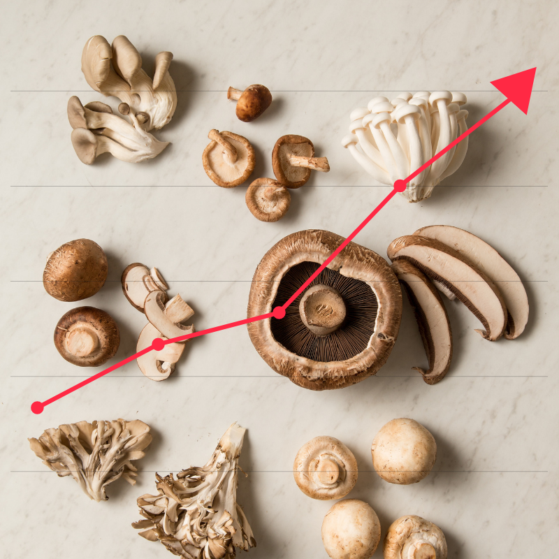 Mushrooms Trending Up