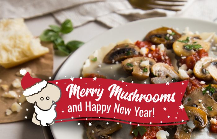 Merry Mushrooms and Happy New Year!