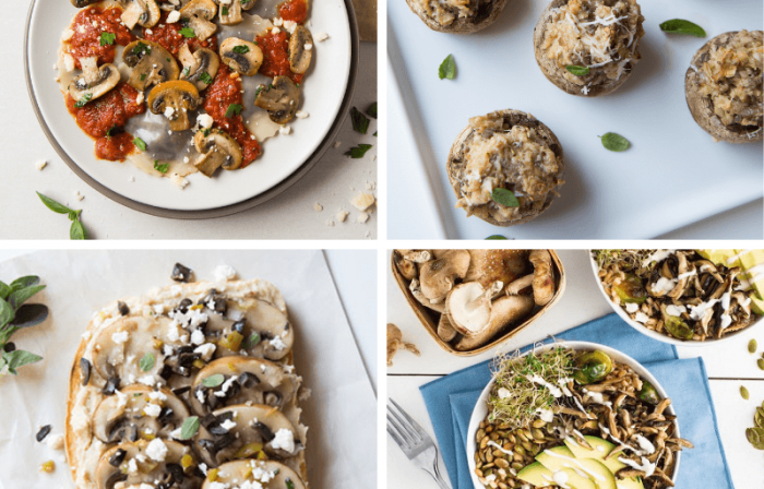 Four Delicious Mushroom Recipes
