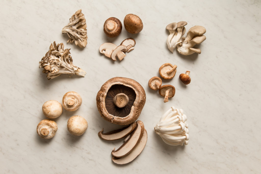 Fresh mushroom varieties