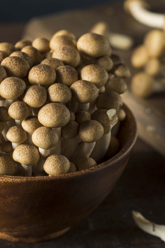 The Mushroom Council | Explore Mushrooms