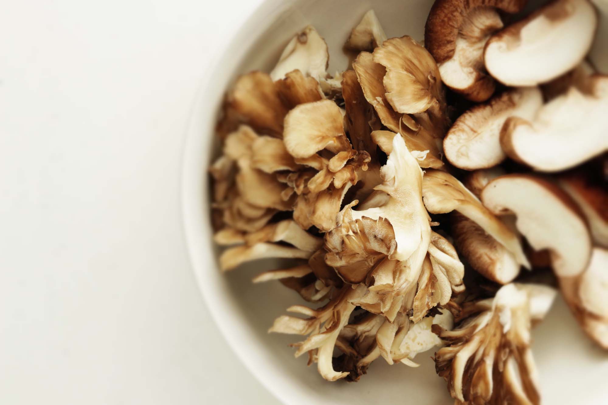 Maitake Mushrooms Mushroom Varieties 101