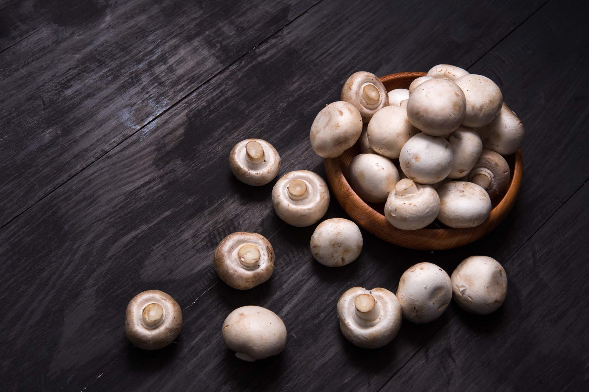 White Button Mushrooms  Mushroom Varieties 101