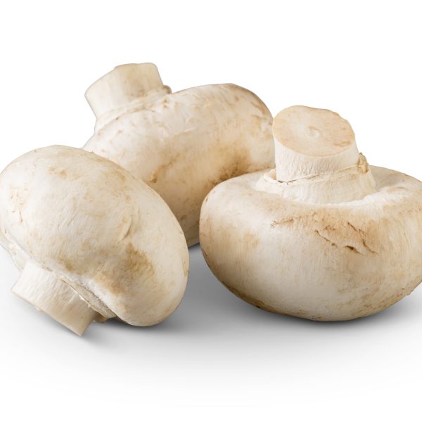 White Button Mushrooms  Mushroom Varieties 101