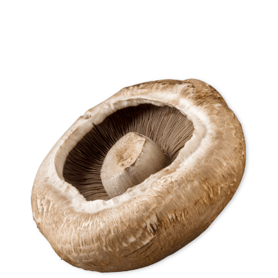 Portabella mushroom