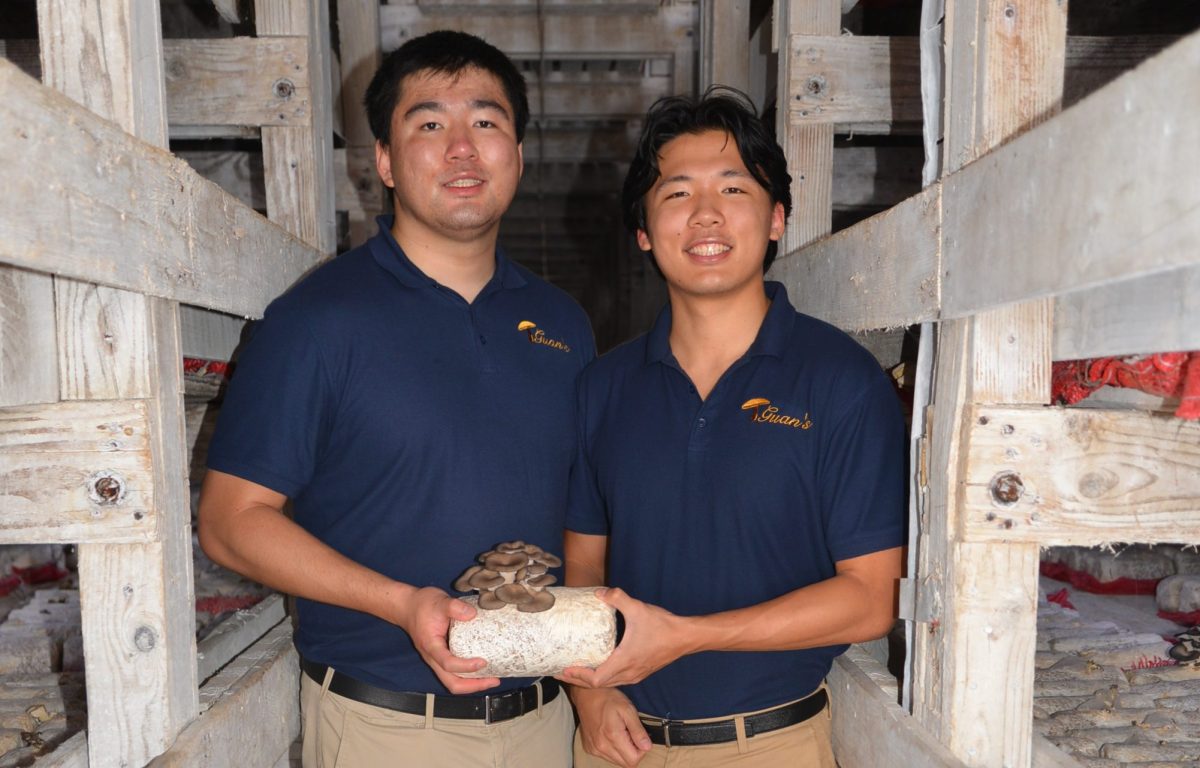 POV A Day in the Life of a Mushroom Grower Mushroom Council