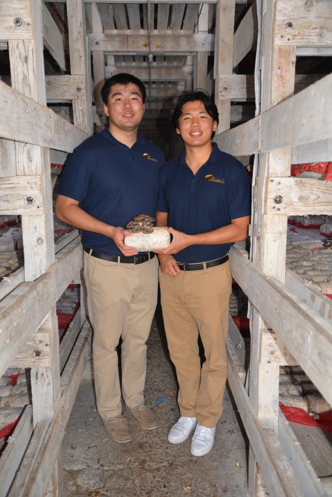 POV A Day in the Life of a Mushroom Grower Mushroom Council