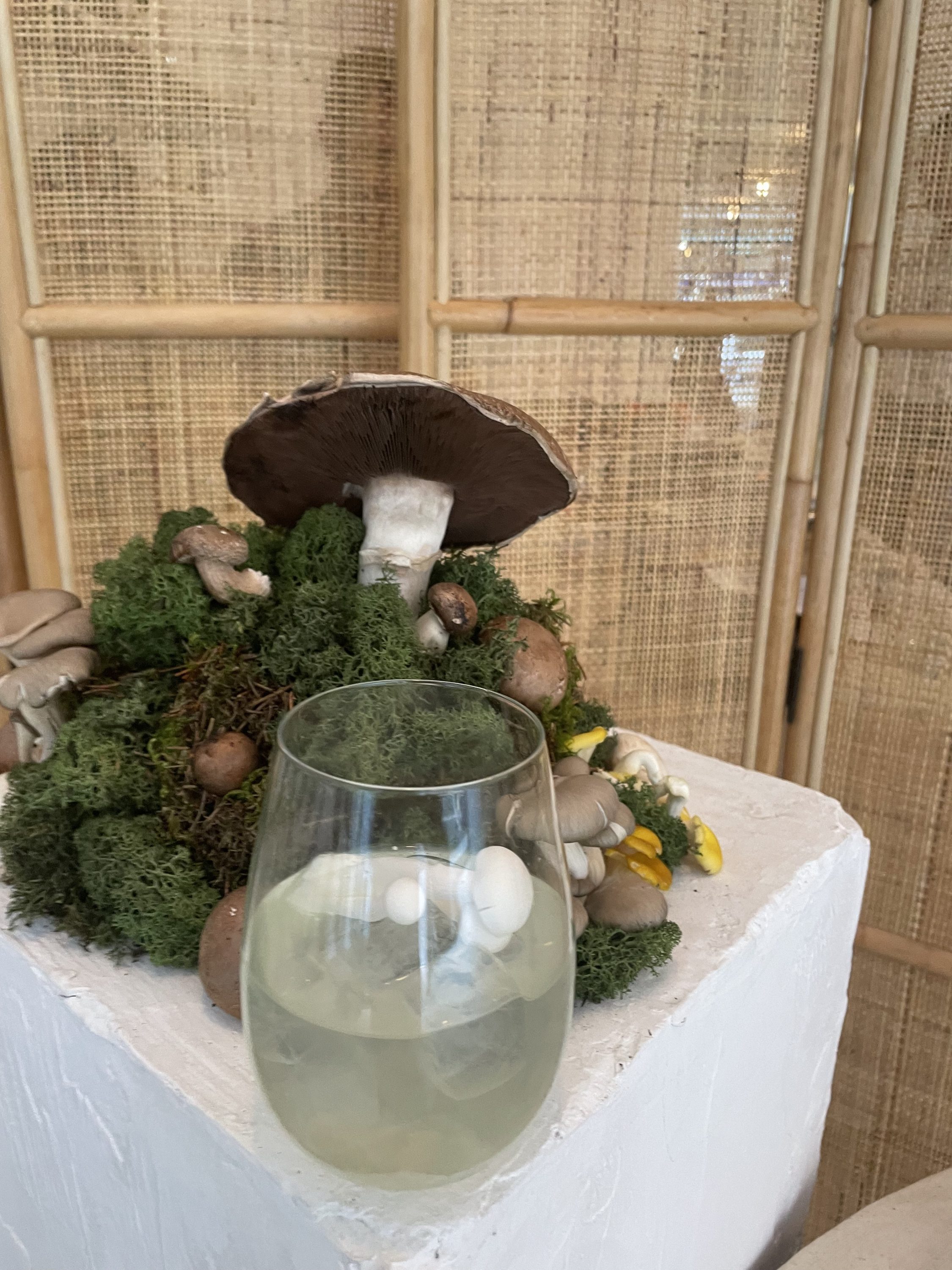 "Last of Words" Cocktail | Mushroom Recipes