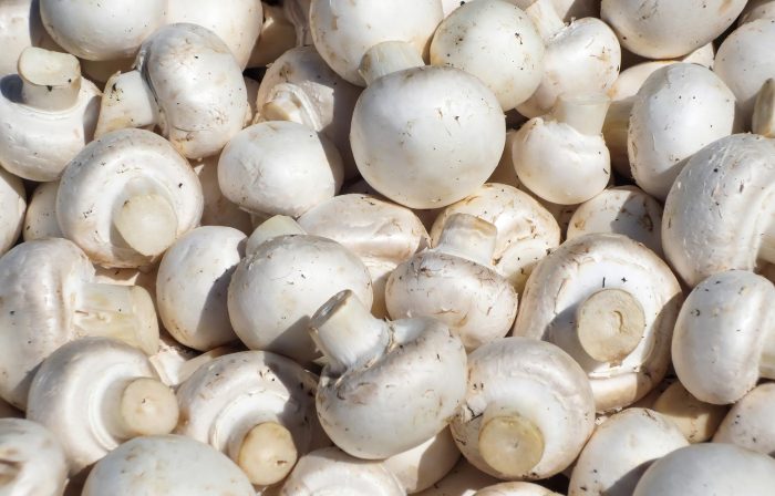 White button mushrooms