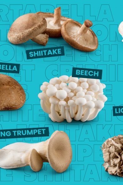 A collection of nine different types of edible mushrooms, including Crimini, Shiitake, White Button, Lion's Mane, Maitake, King Trumpet, Oyster, Portabella, and Beech, are displayed and labeled against an blue background.