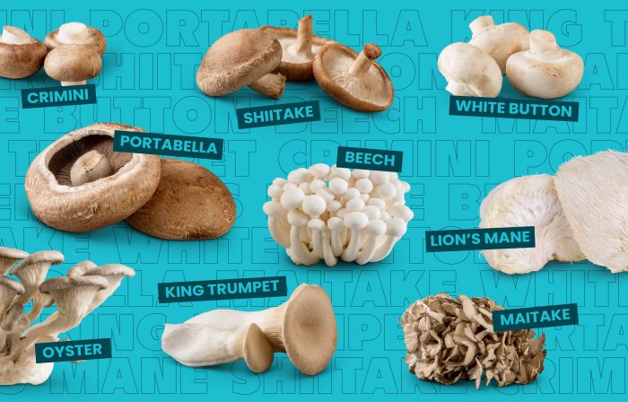 A collection of nine different types of edible mushrooms, including Crimini, Shiitake, White Button, Lion's Mane, Maitake, King Trumpet, Oyster, Portabella, and Beech, are displayed and labeled against an blue background.