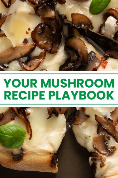 October mushroom recipes
