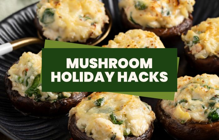 Cheesy mushroom appetizers