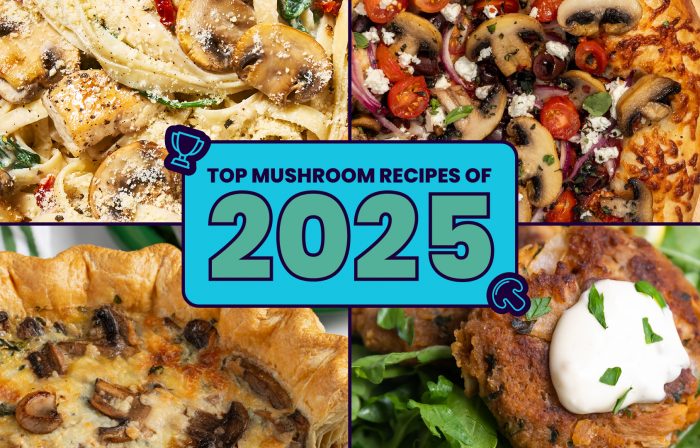 top mushroom recipes