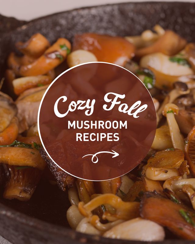 Mushroom Recipes Cook with Mushrooms