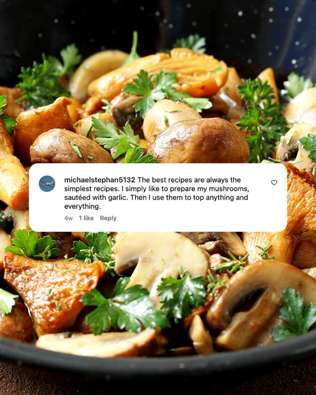 Mushroom Recipes | Cook with Mushrooms